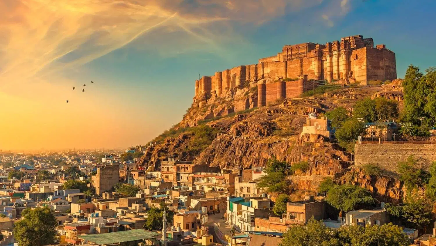 Majestic Rajasthan